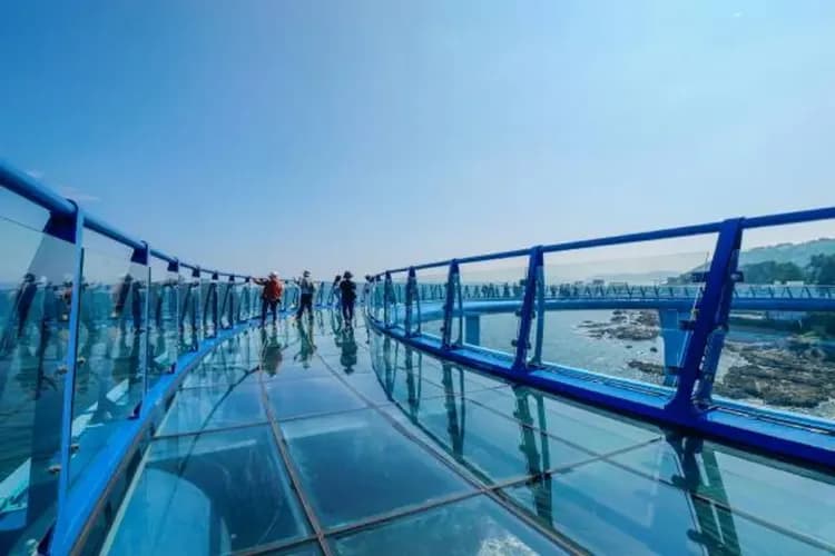 KHH【釜氣來韓國、買一送一】機張長腳蟹、海岸觀光列車、海景汗蒸幕、甘川洞積木村五日-9