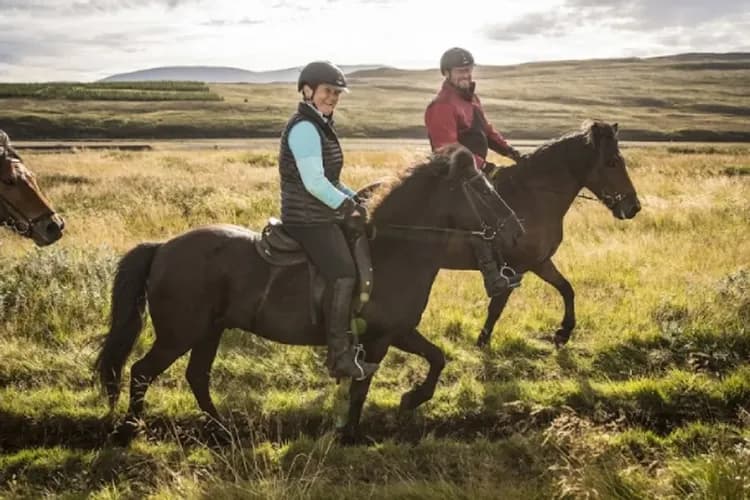 Hestasport 授權使用-冰島奇幻之旅