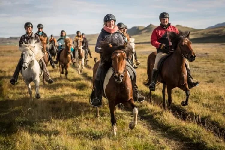 Hestasport 授權使用-冰島奇幻之旅