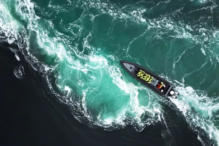 Explore Salten AS 授權提供-薩爾特流快艇(漩渦海鷹狩獵)