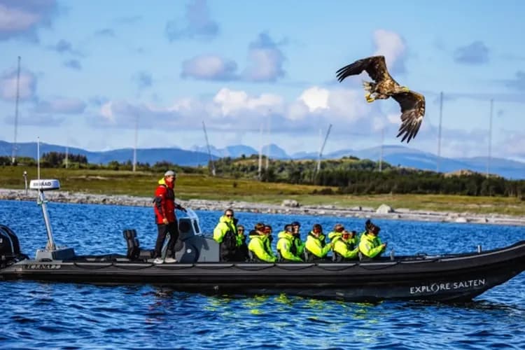 Explore Salten AS 授權提供-薩爾特流快艇(漩渦海鷹狩獵)