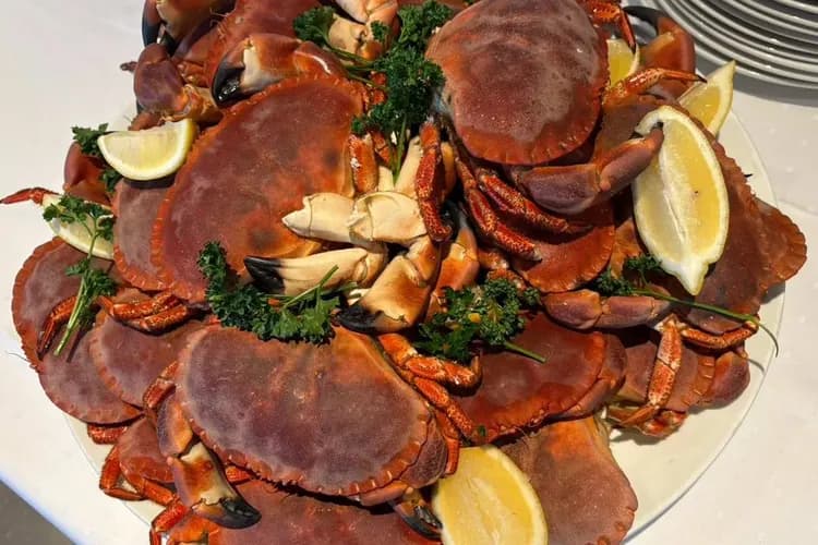 北極圈捕蟹之旅(搭乘皮艇)