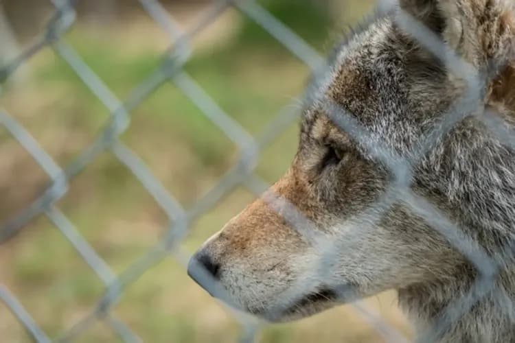 POLAR PARK BARDU-極地野生動物園