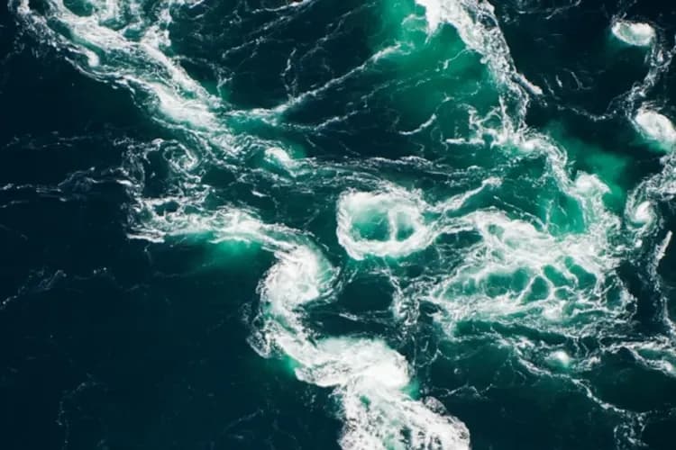 幸福北極圈~羅浮敦群島、動物園皮艇捕蟹、纜車傳統漁屋、漩渦海鷹狩獵之旅12日-5