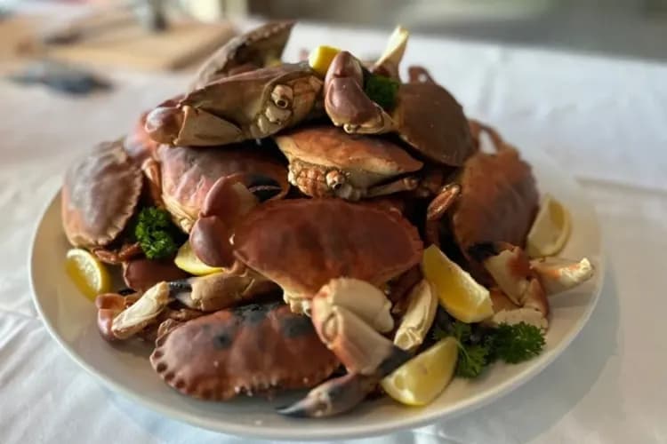 北極圈捕蟹之旅(搭乘皮艇)