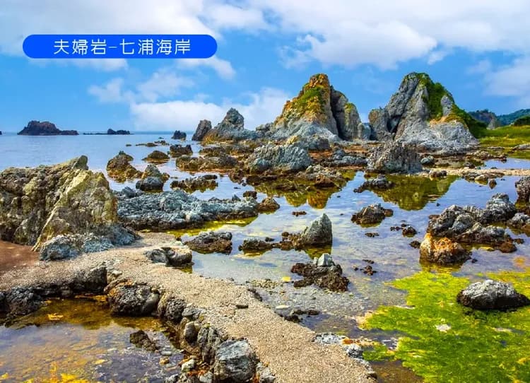 愛上新潟佐渡島5日~神隱少女木盆舟體驗.秘境清津峽.長岡煙火館.彌彥神社.天空之城.雙溫泉 (不進免稅店)-7