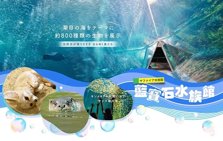 【限量29900起】雪夢幻東北5日.藏王樹冰纜車.銀山溫泉.會津鐵道.藍寶石水族館.國寶白水阿彌陀堂.米澤牛-6