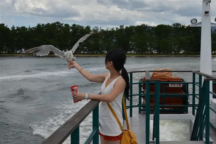 快閃大阪旅遊│海之京都天橋立纜車.伊根舟屋遊船.好運滿滿勝尾寺.生田神社.魚之棚商店街.日式燒肉吃到飽四日|高雄來回-6