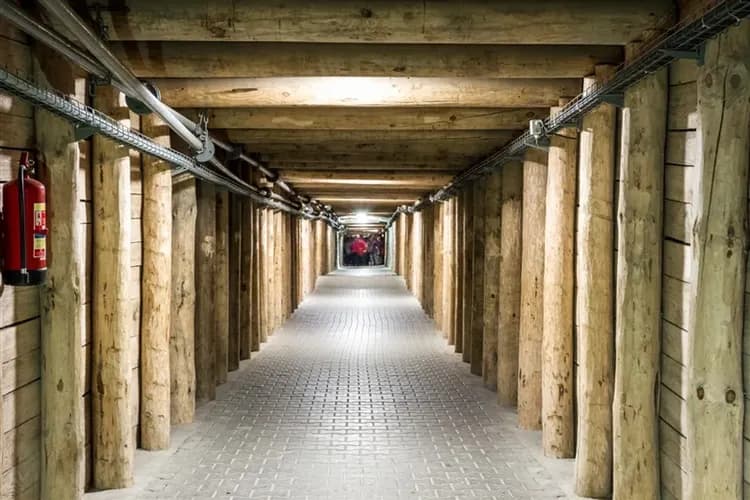 玩樂369│經典波蘭與波羅的海│兩晚五星,維利奇卡鹽礦,奧斯維辛集中營,騎士馬爾堡,八大世遺,土航雙點12日-5