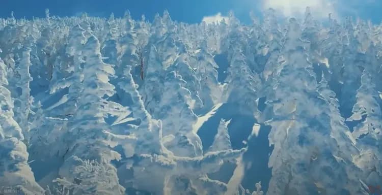 寒假預購折$2000|東北限量天元台樹冰纜車.銀山溫泉街.仙台水族館.雪樂園.最上川遊船.松島魚市場.草莓牛舌美食5日-7