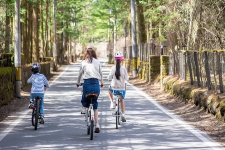 東京櫻花戀~川越小江戶、輕井澤單車遊、長腳蟹吃到飽、富士五湖溫泉五日-9