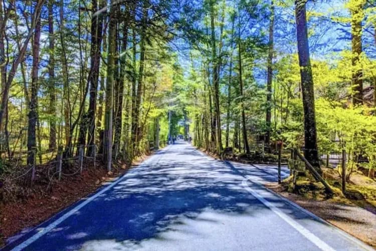 照片為氛圍感示意圖/取自輕井澤觀光協會-輕井澤渡假勝地(自行車漫遊)