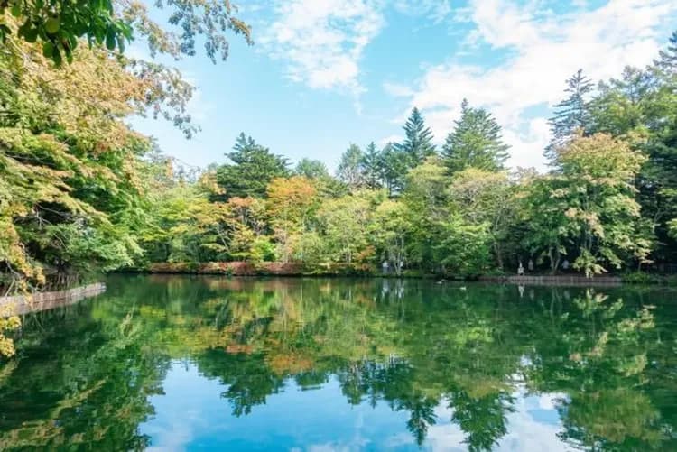雲場池-輕井澤渡假勝地(自行車漫遊)
