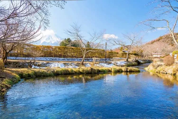 富士忍野八海丨名水百選