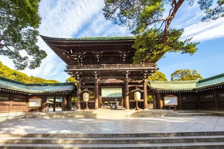 明治神宮丨日本最大木造鳥居