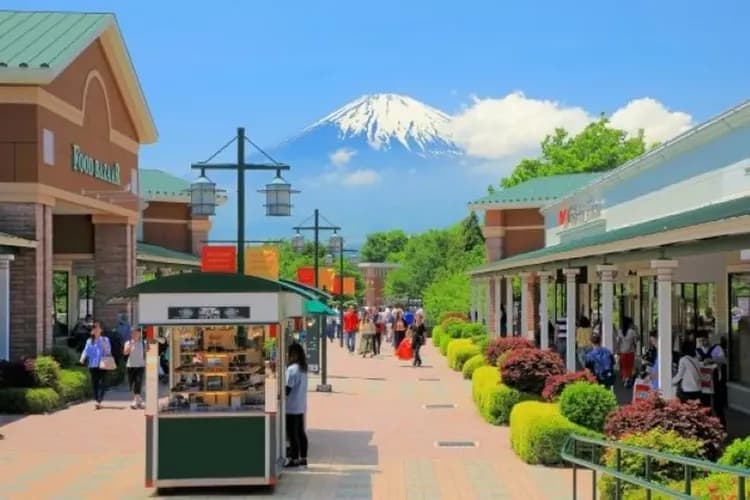 東京超值選~迪士尼樂園、淺草明治神宮、御殿場OUTLET、富士忍野八海六日-7