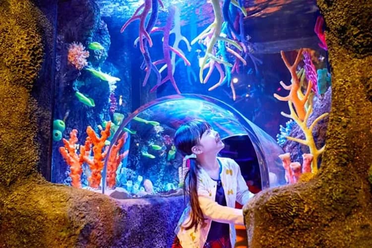 日本樂高樂園、樂高水族館