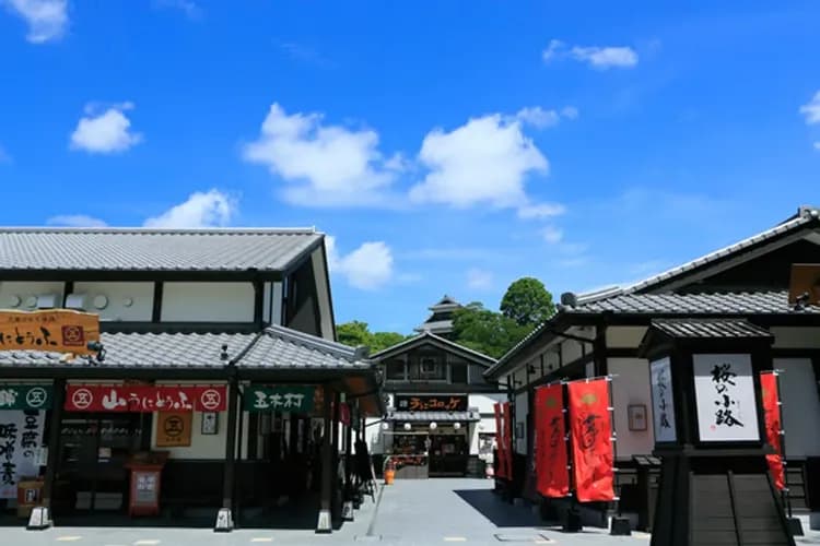 KHH櫻花戀九州~日本百選櫻情、秋月杉馬場、湯布院金鱗湖、戀戀溫泉香四日-9