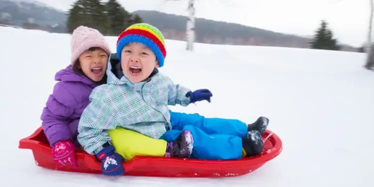 富良野雪上活動(五合一)