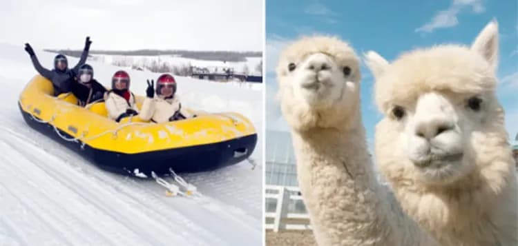 富良野雪上活動(五合一)