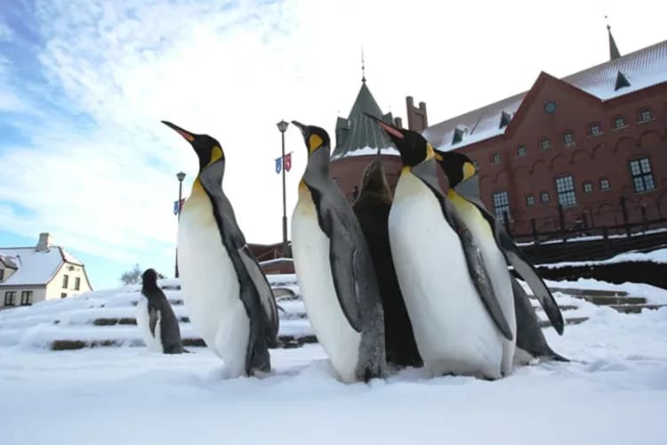 尼克斯海洋公園