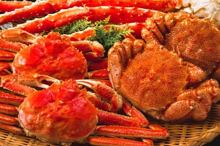 品味北國五大風味