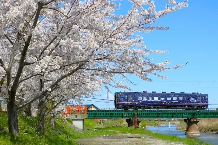 写真提供:道南いさりび鉄道/禁止轉載-湛藍海峽號鐵道之旅~移動餐廳(約1小時;午餐+甜點)
