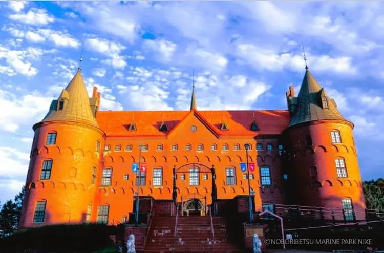 写真提供:登別マリンパークニクス/禁止轉載-尼克斯海洋公園(企鵝遊行)