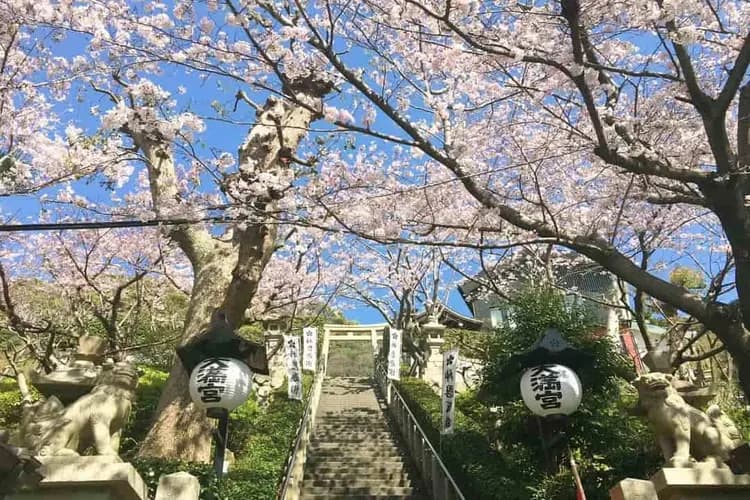 北野天滿宮-神戶港灣美景