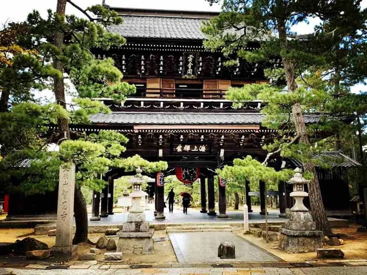 KHH關西秘境~神鍋高原戲雪、美山合掌村、伊根灣遊覽船、姬路美饌溫泉五日-5