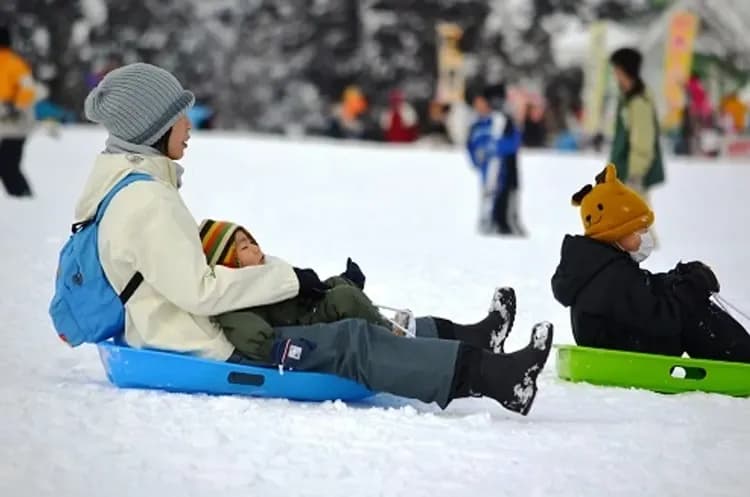 藏王樹冰纜車(冬季樹冰+雪盆體驗)