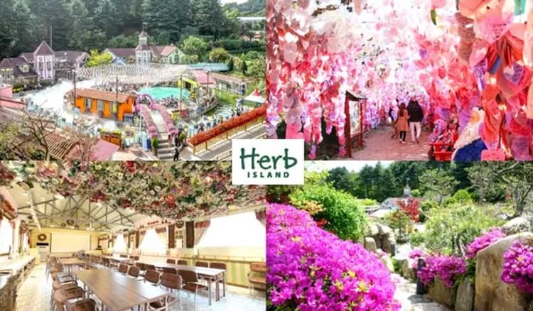 KHH【長榮韓國、買一送一】星空圖書館、抱川精彩景點、稻花農夫體驗、乙晚五星飯店五日-5