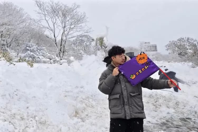 漢拏山1100高地-漢拏山1100高地(秋楓、冬雪)