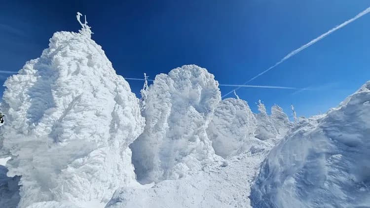東北花卷|藏王樹冰纜車.銀山溫泉.水族館.猊鼻溪輕舟.松島.採草莓雙溫泉五日-8