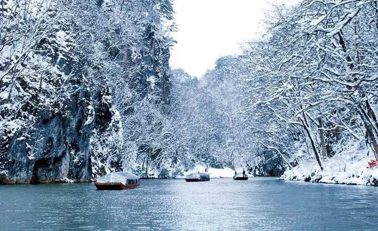 過年折3,000|藏王樹冰纜車.雙百選溫泉.威斯汀.銀山.狐狸村.松島下午茶.毛越寺.和牛.酒香.採果五日|仙花-9