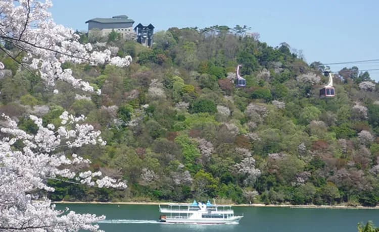 旅天下快閃北陸|名花之里彩燈祭.千年之森.館山寺纜車.濱名湖.味噌之鄉.酒造見學溫泉四日-6