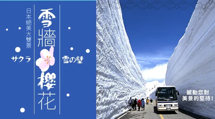 北陸黑部立山雪牆・粉櫻雙絕景~千年臥龍櫻.兼六園.國寶松本城.白川鄉合掌村.甜蝦吃到飽.雙溫泉.名古屋萬怡五日|全程保住-5