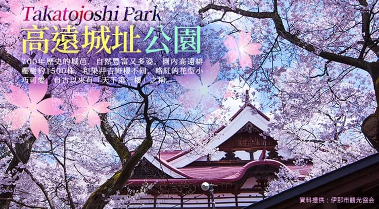 名古屋華航~限量立山黑部雪牆|賞櫻百選~高遠城公園.御母衣湖~莊川櫻.童話合掌村.馬籠宿.郡上八幡.草莓吃到飽.溫泉五日-7