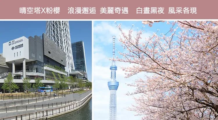 春櫻東京旅遊|富士山絕景賞櫻.身延山纜車.河口湖天晴號.小石川後樂園.晴空塔商店街.美食饗宴雙湯五日-10