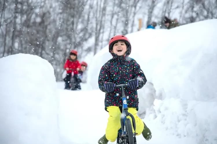 羊之丘雪上樂園(雪上活動)