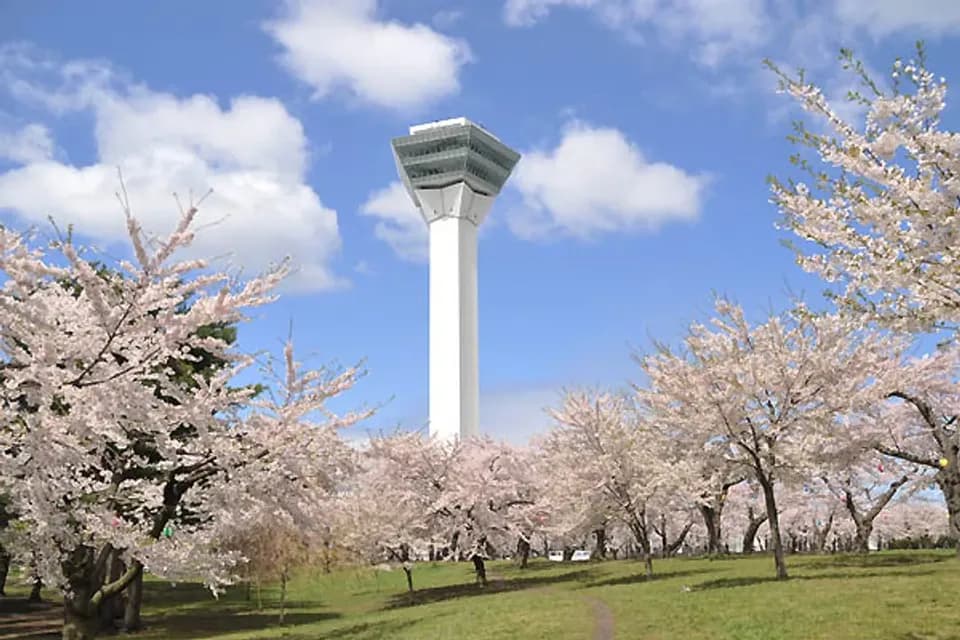 櫻情北海道、花見野餐趣~小樽函館山、登別櫻花隧道、洞爺湖花火會、三大蟹三溫泉五日