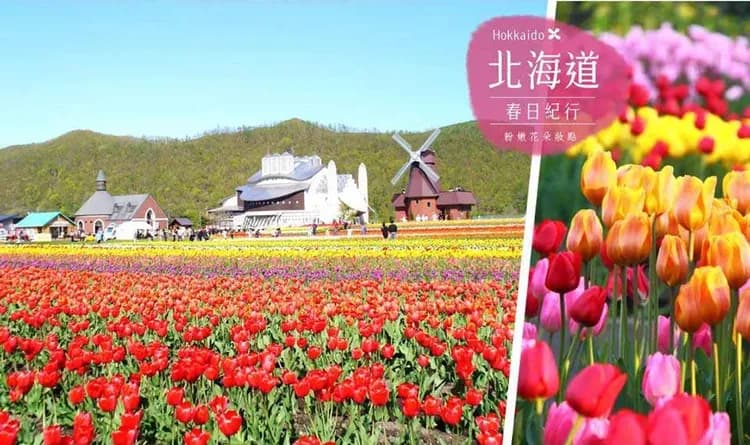 上湧別鬱金香公園(毎年5月1日~5月31日)