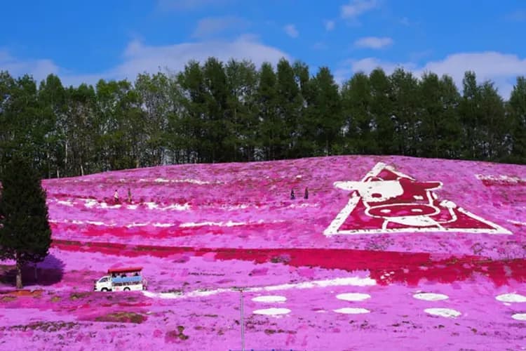 東藻琴芝櫻公園(5月上旬~6月上旬)