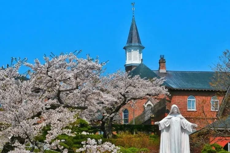 櫻花-函館星情漫遊