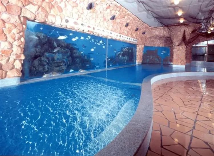 伊東溫泉新鳩屋(兩晚)