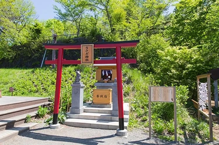 富士山全景纜車(河口湖++富士見台)