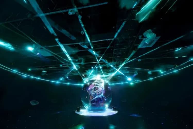 🄫átoa與AQUARIUM×ART提供-時尚藝術水族館