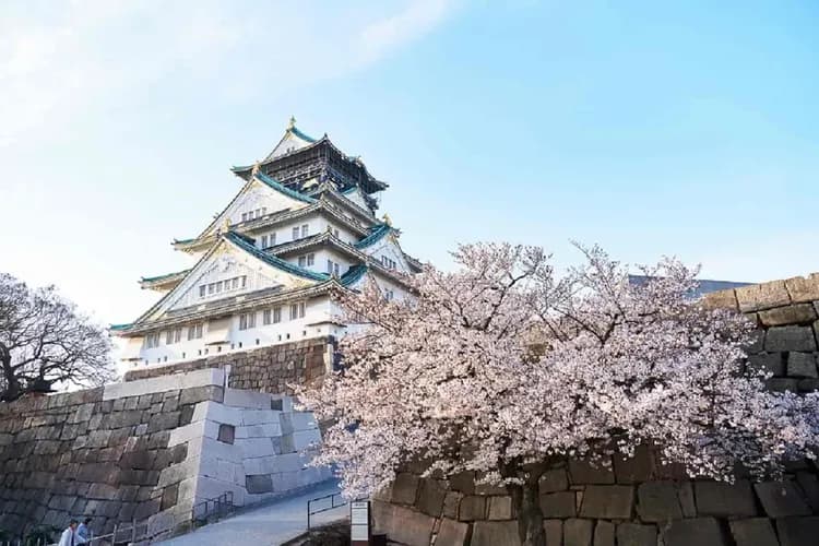大阪城公園(賞櫻)或大阪造幣局