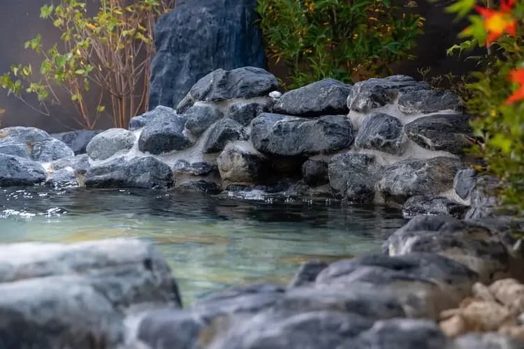 日式溫泉飯店(乙晚)
