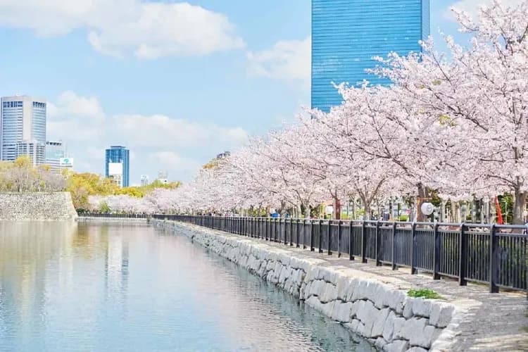 大阪城公園(賞櫻)或大阪造幣局